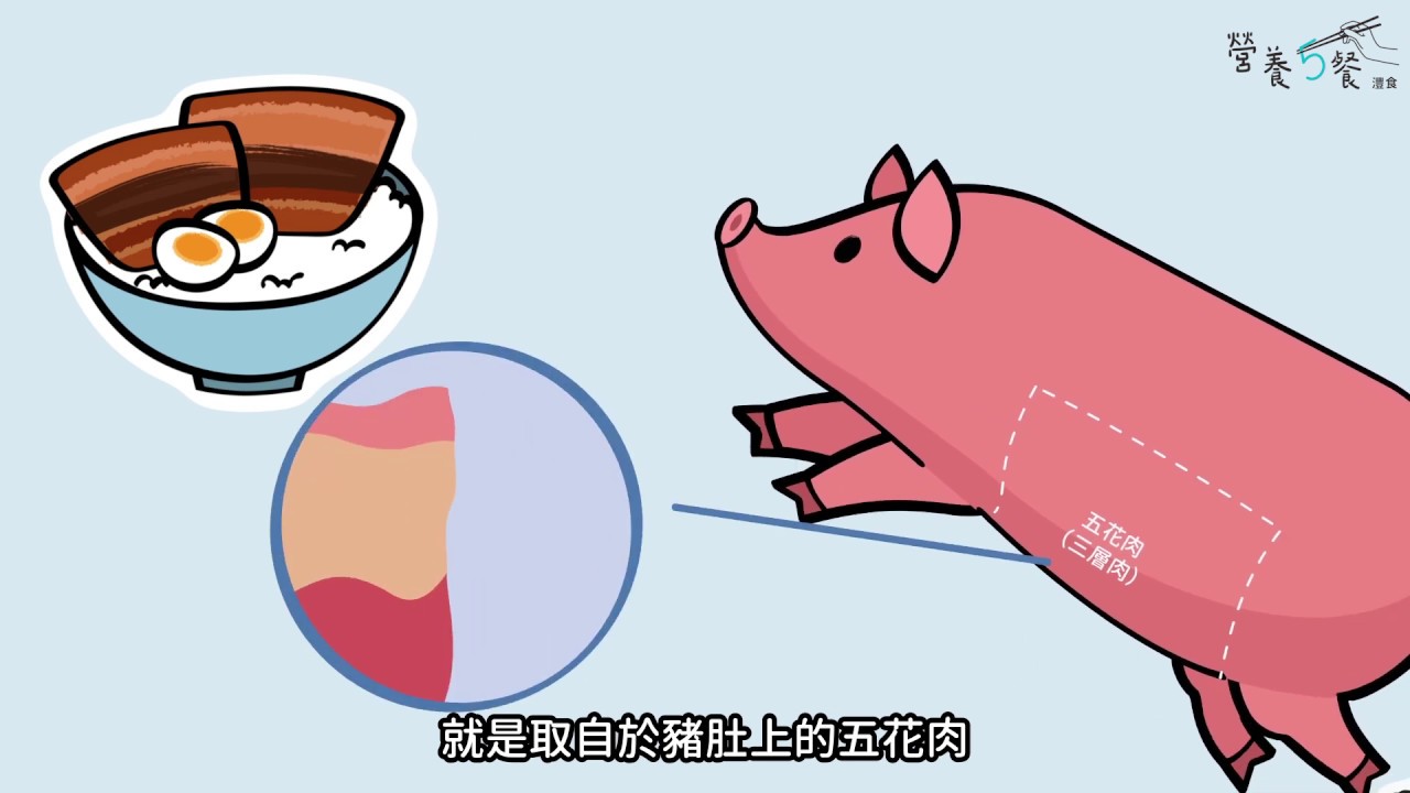 營養5餐-六大類食物/豬製品篇