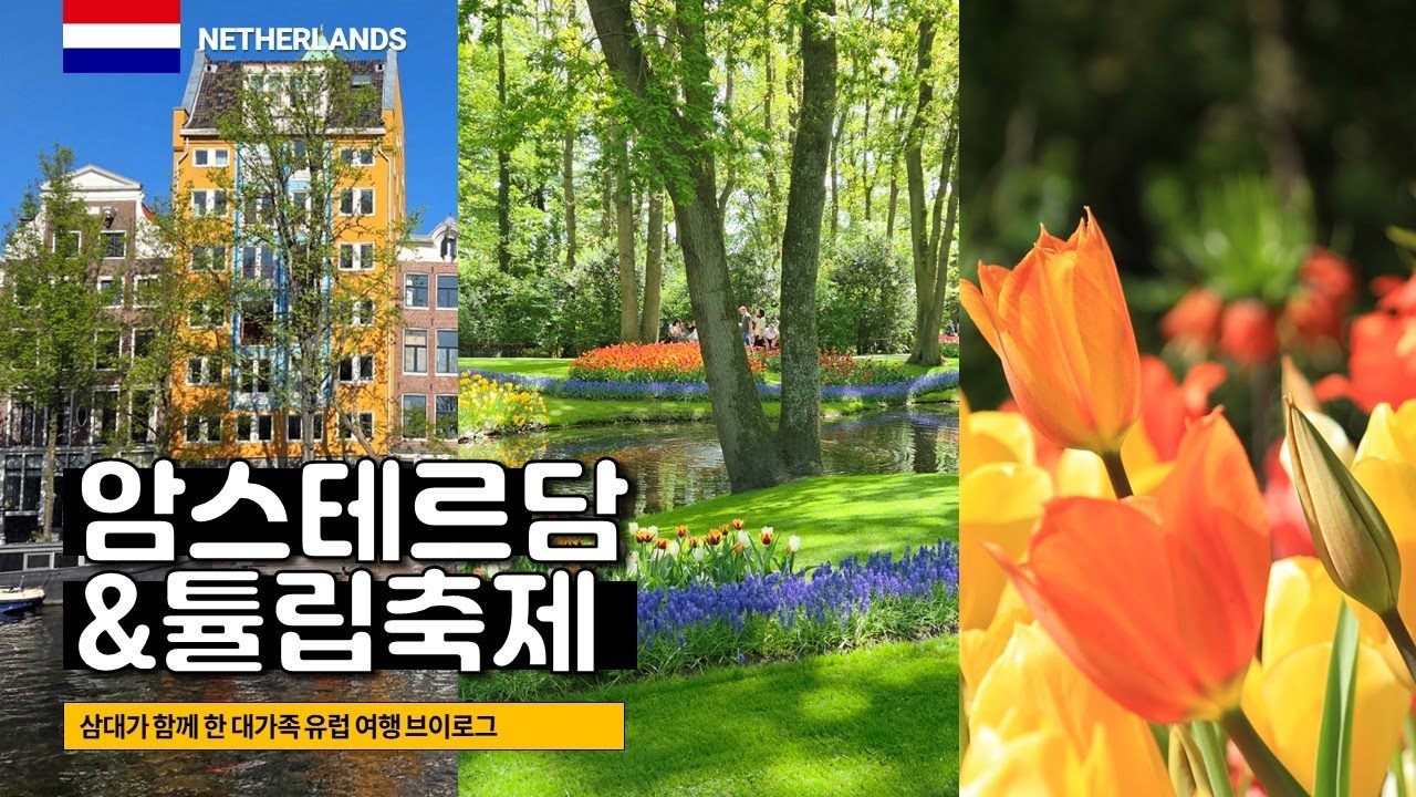 튤립 절정 시즌, 네덜란드 암스테르담과 쾨겐호프 튤립 축제 [대가족 유럽 여행 ep2] | 🇳🇱 Netherlands | 네덜란드 [vlog]