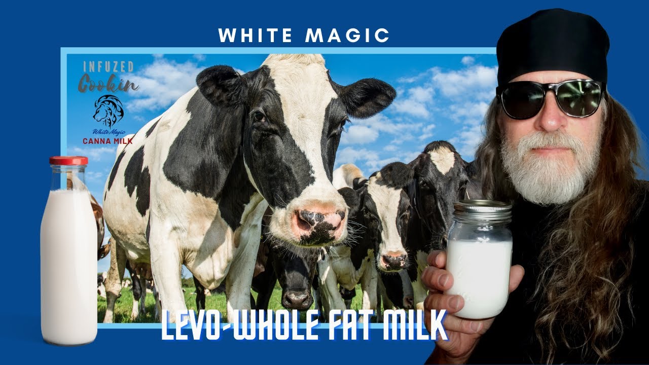 How to Make Cannabis Infused Milk With the LEVO 2