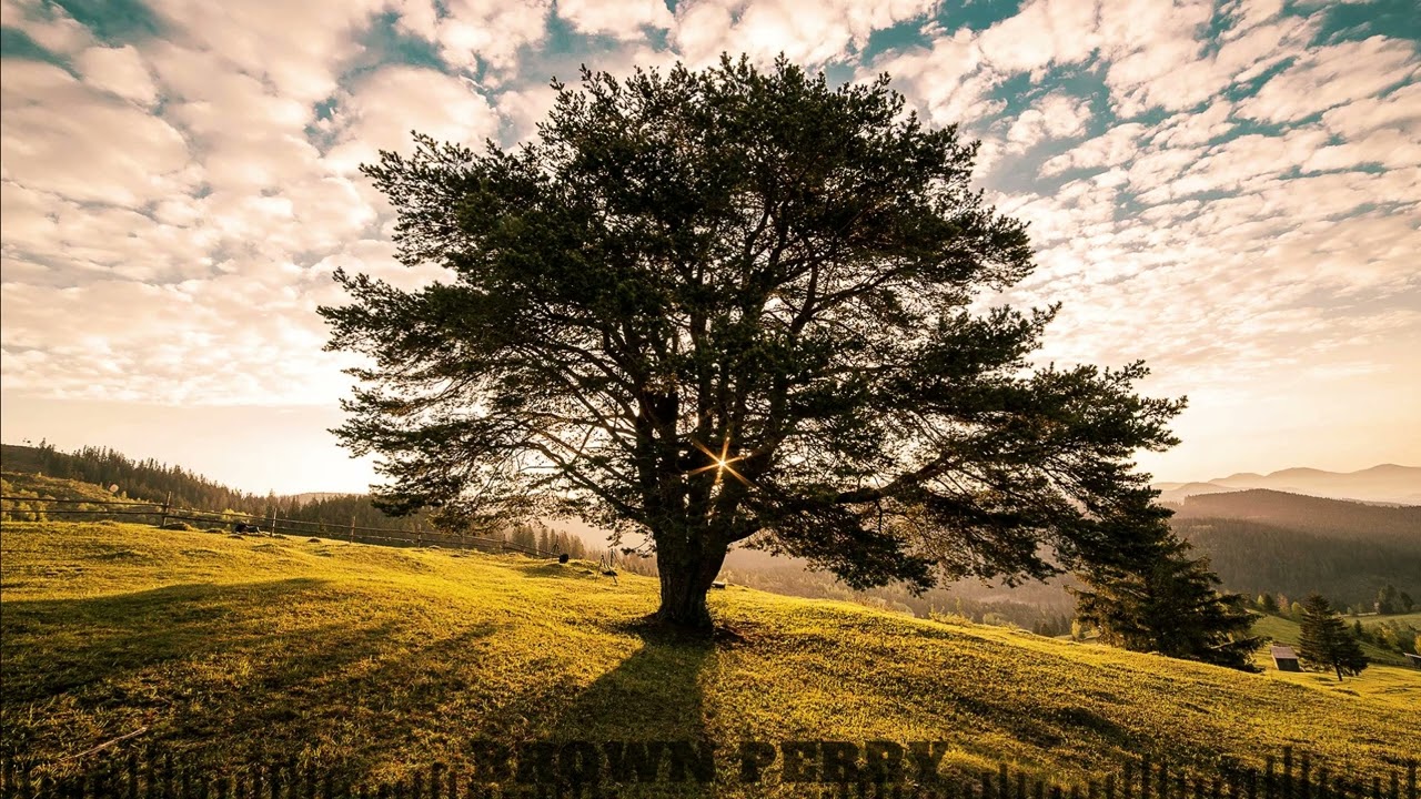 MUZICA ROMANEASCA 2025  🎧  ROMANIAN DEEP HOUSE MUSIC  🎧  by BROWN PERRY