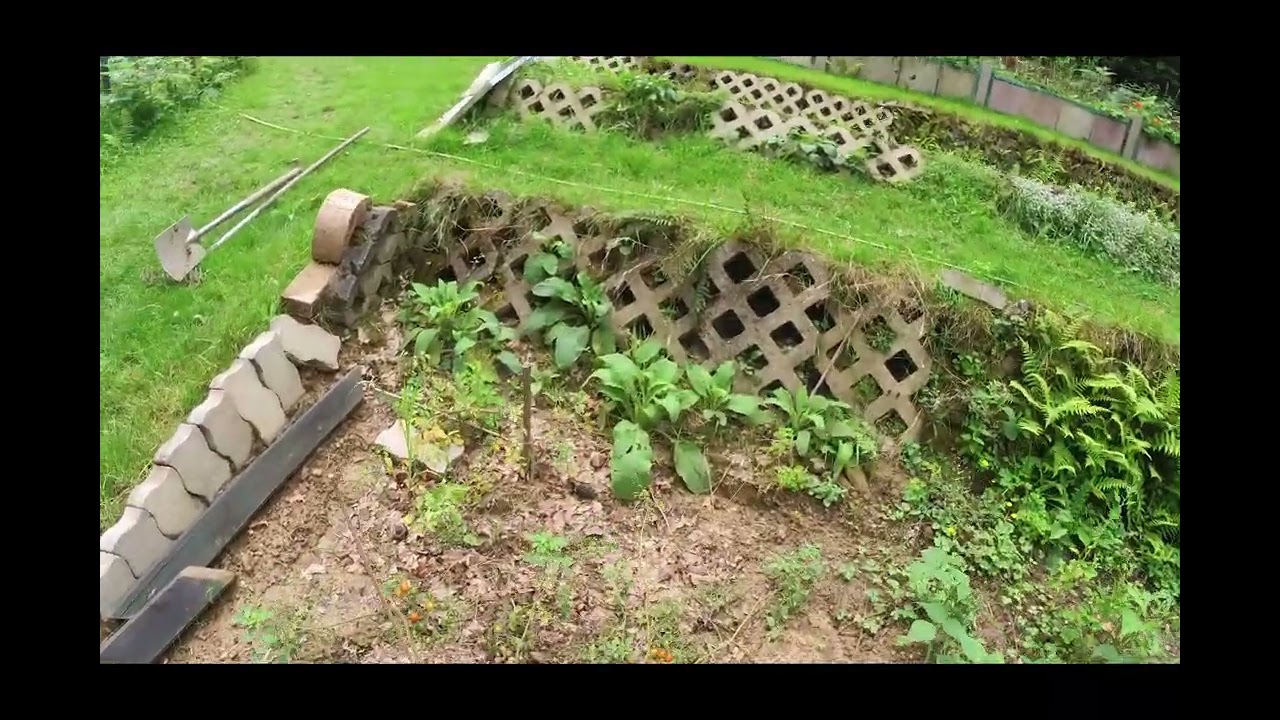 Wie funktionieren Wildtomaten auf unserem Waldgrundst&uuml;ck im Halbschatten?
