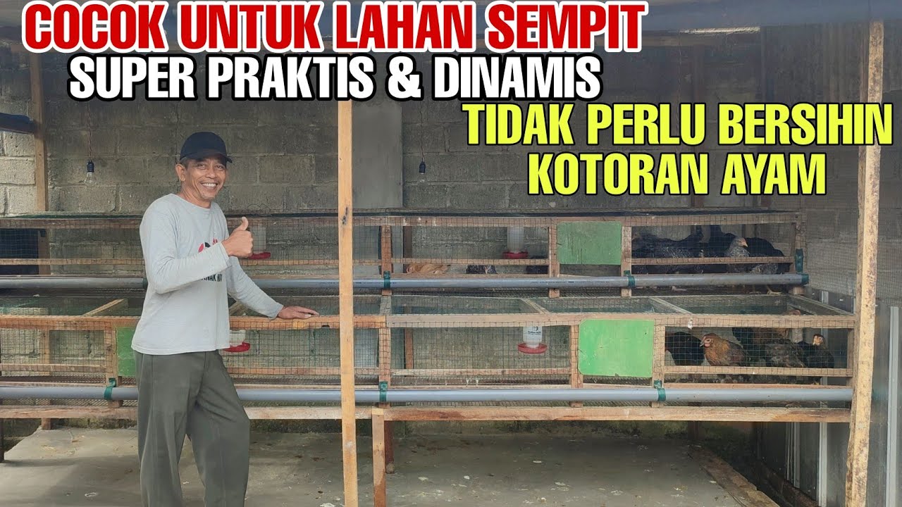 CONTOH KANDANG MINIMALIS KHUSUS LAHAN SEMPIT