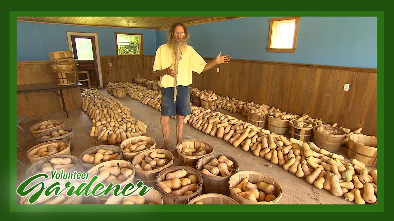 Storage of Surplus Crops | Volunteer Gardener