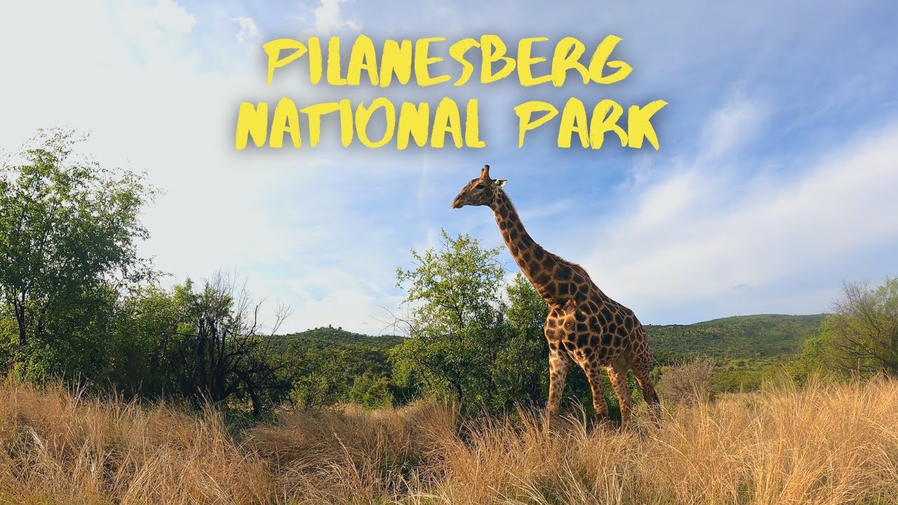 Pilanesberg National Park