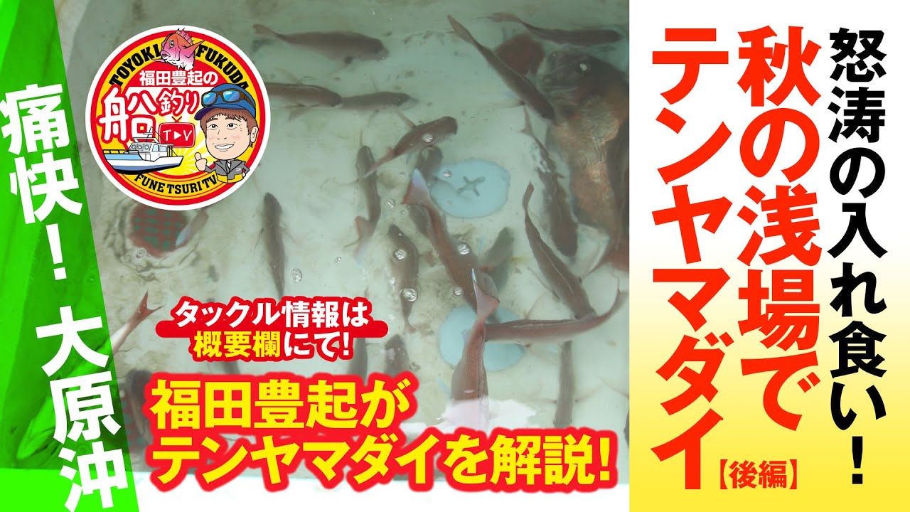 【船釣りTV】痛快！千葉の秋・浅場でテンヤマダイ！【後編】ヒトツテンヤ炸裂！小雨強風、怒涛の入れ食い！テンヤ解説エサ付け Japanese boat fishing techniques