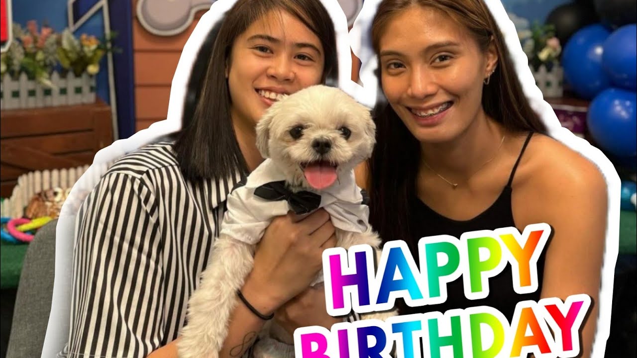 OLLIE'S BIRTHDAY CELEBRATION 🐾🐾 #deannawong #ivy #fypシ゚viral #reels #reelsviral #ivylacsina #deavy