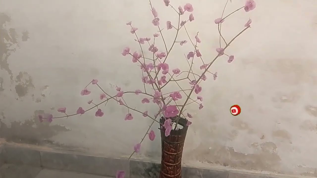 Diy #Bloom flower #beautyful diy 