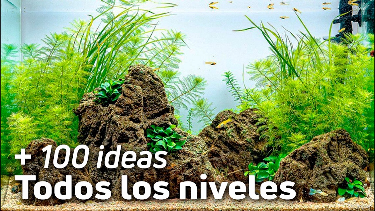 Crea el Acuario Plantado de tus SUEÑOS con estos + de 100 Ejemplos Reales