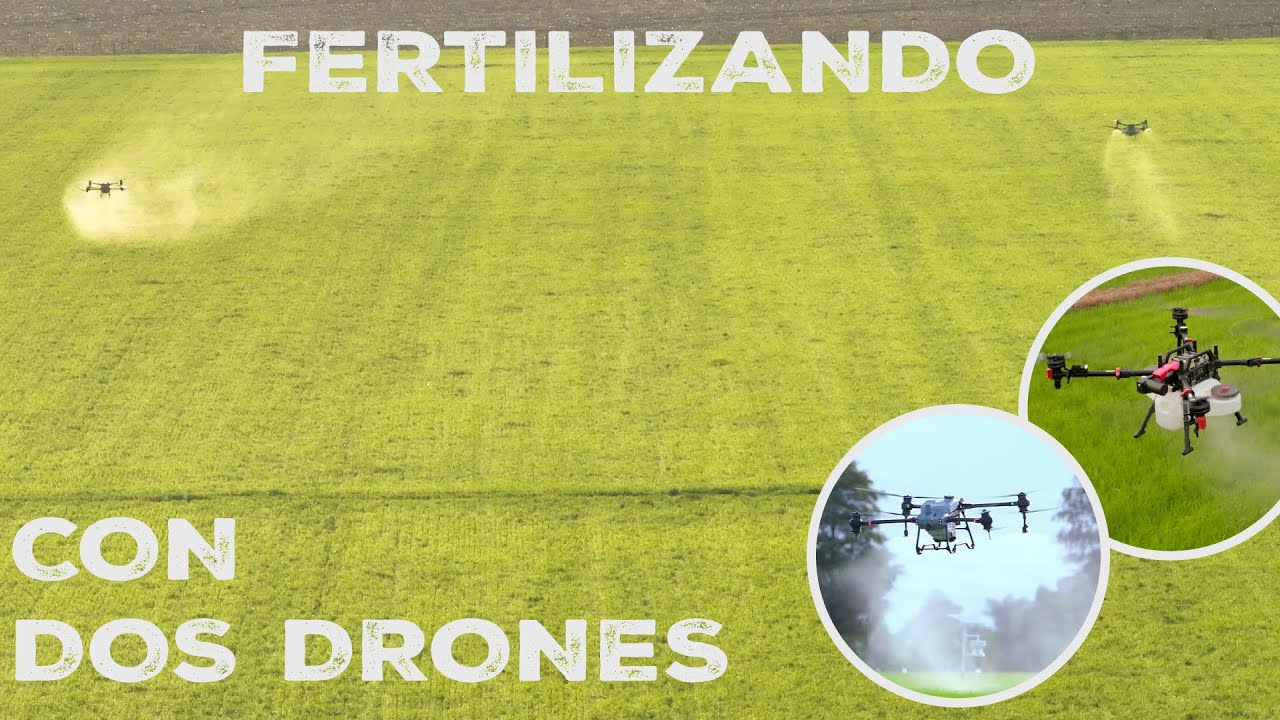 FERTILIZANDO TRIGO con DOS DRONES, SIMULTANEAMENTE