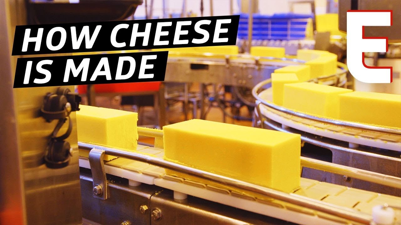 How Cheddar Cheese Is Made In a Factory — The Process