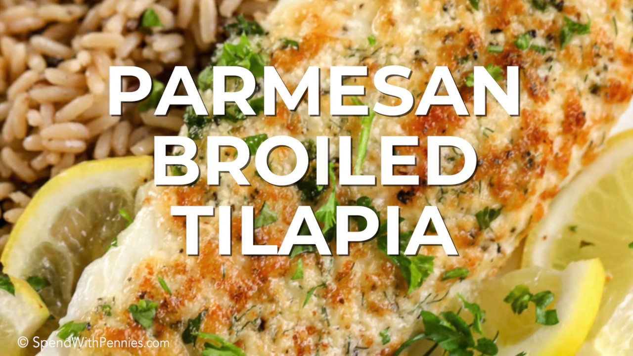 Parmesan Broiled Tilapia