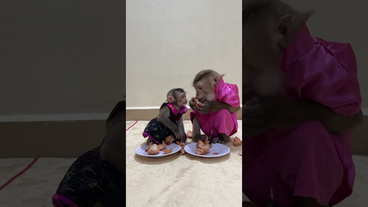 Mrr Jacky & Linda they Like eating fruit