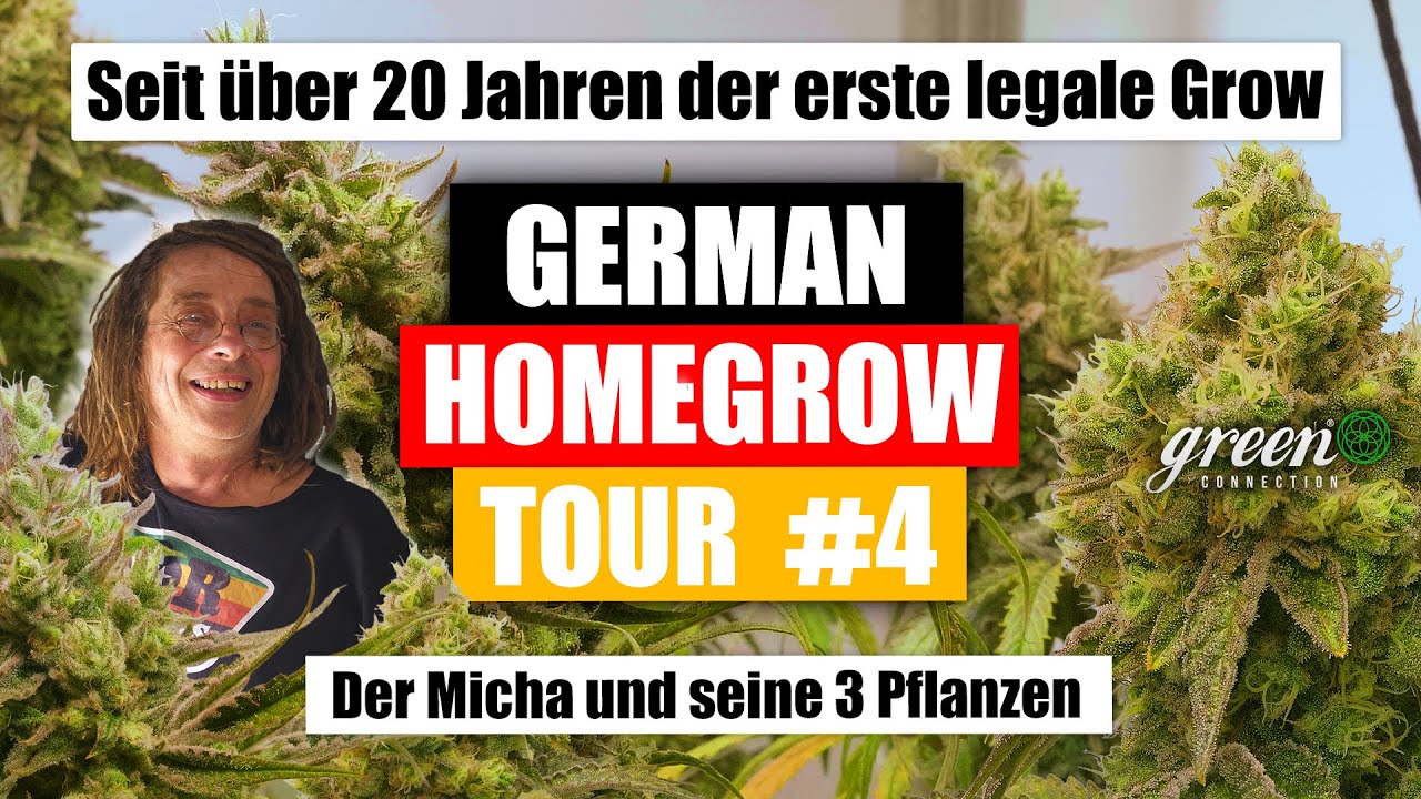Der erste LEGALE GROW, seit &uuml;ber 20 Jahren | DerMicha zeigt uns seine Pflanzen |!GermanHomeGrow-Tour
