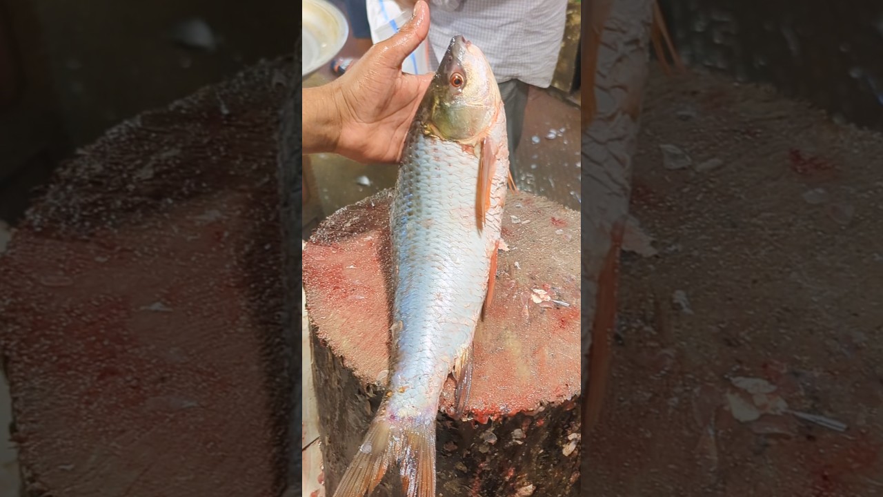 Amazing Rohu Fish Cutting Skills In Bangladesh Fish Market #shorts