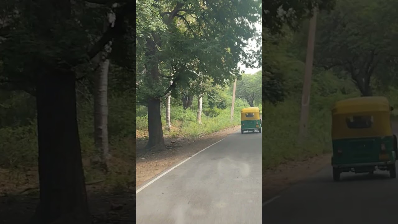 Muthathi forest drive ghat section 