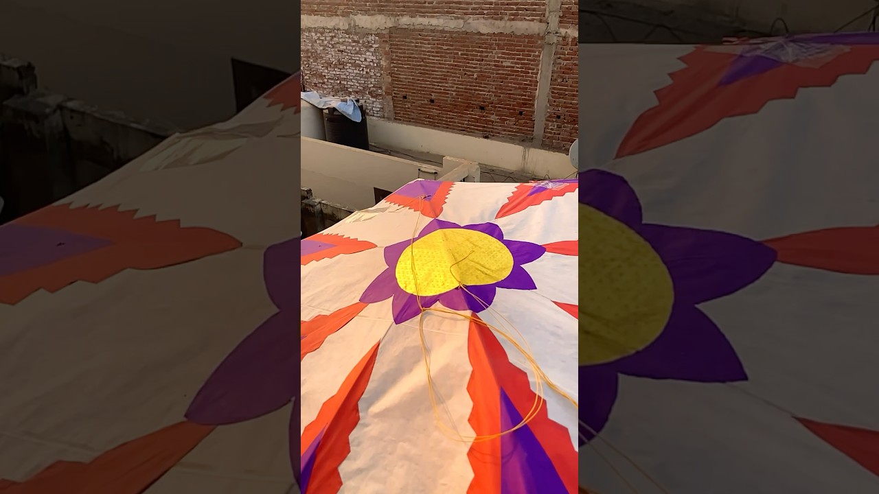 kite flying 15 august(basant)#kiteflying#kitelover#makarsankranti#15august#shorts#trending#2025