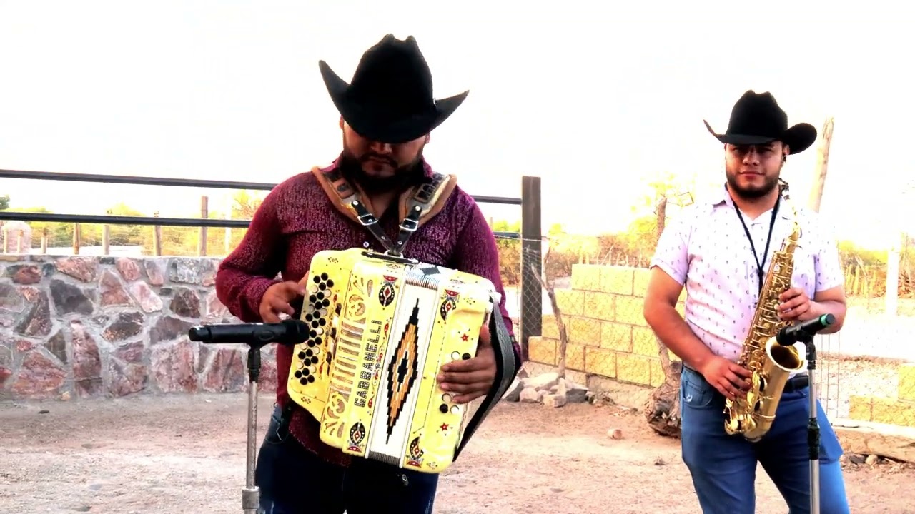 El panchito (videos live)
