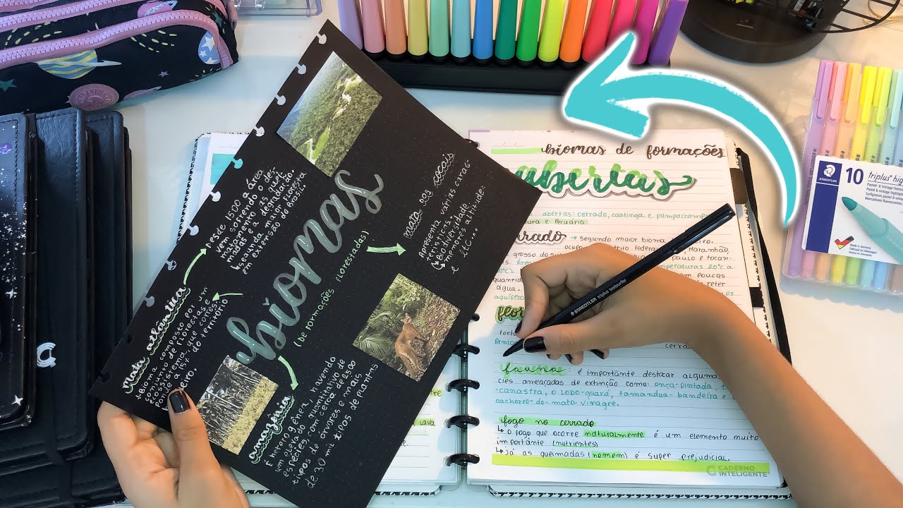DICAS : COMO EU DEIXO O MEU CADERNO INTELIGENTE MAIS ORGANIZADO