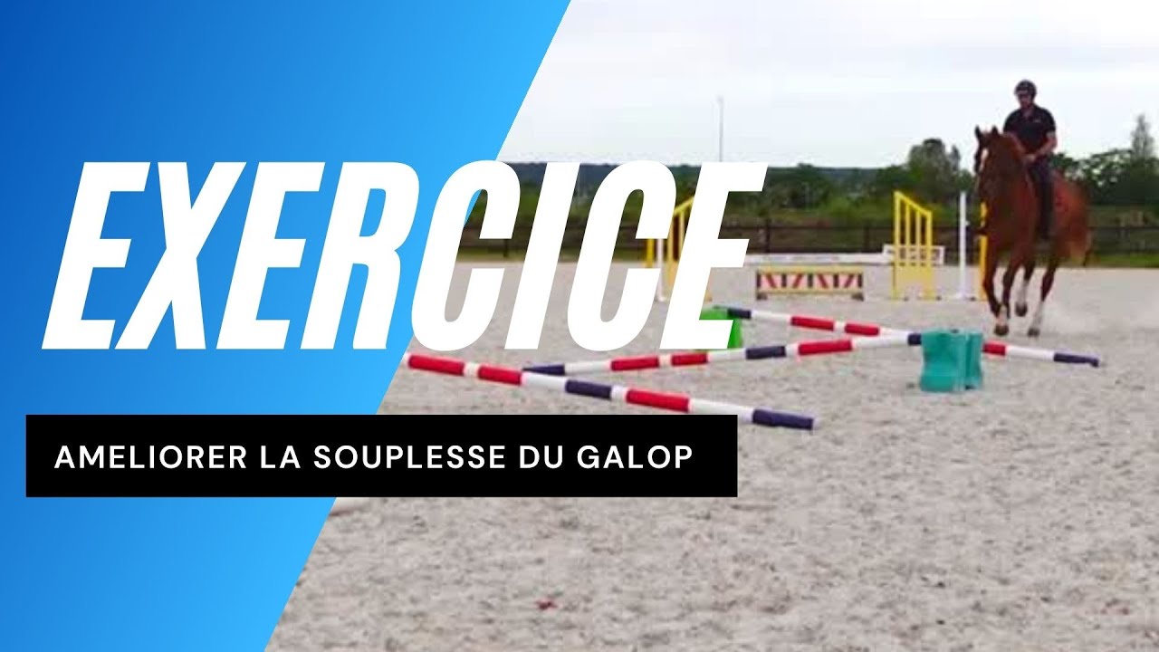Exercice équitation : Barres au sol pour améliorer le galop