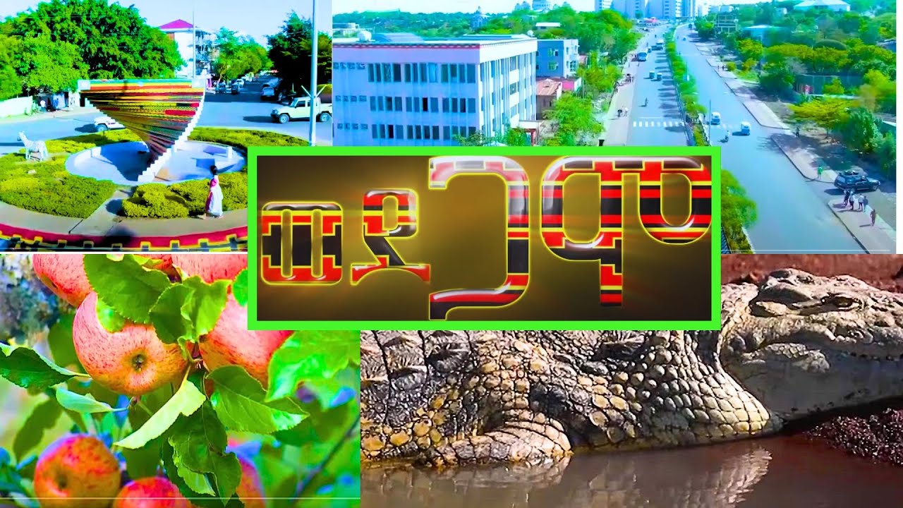 ወደ ጋሞ