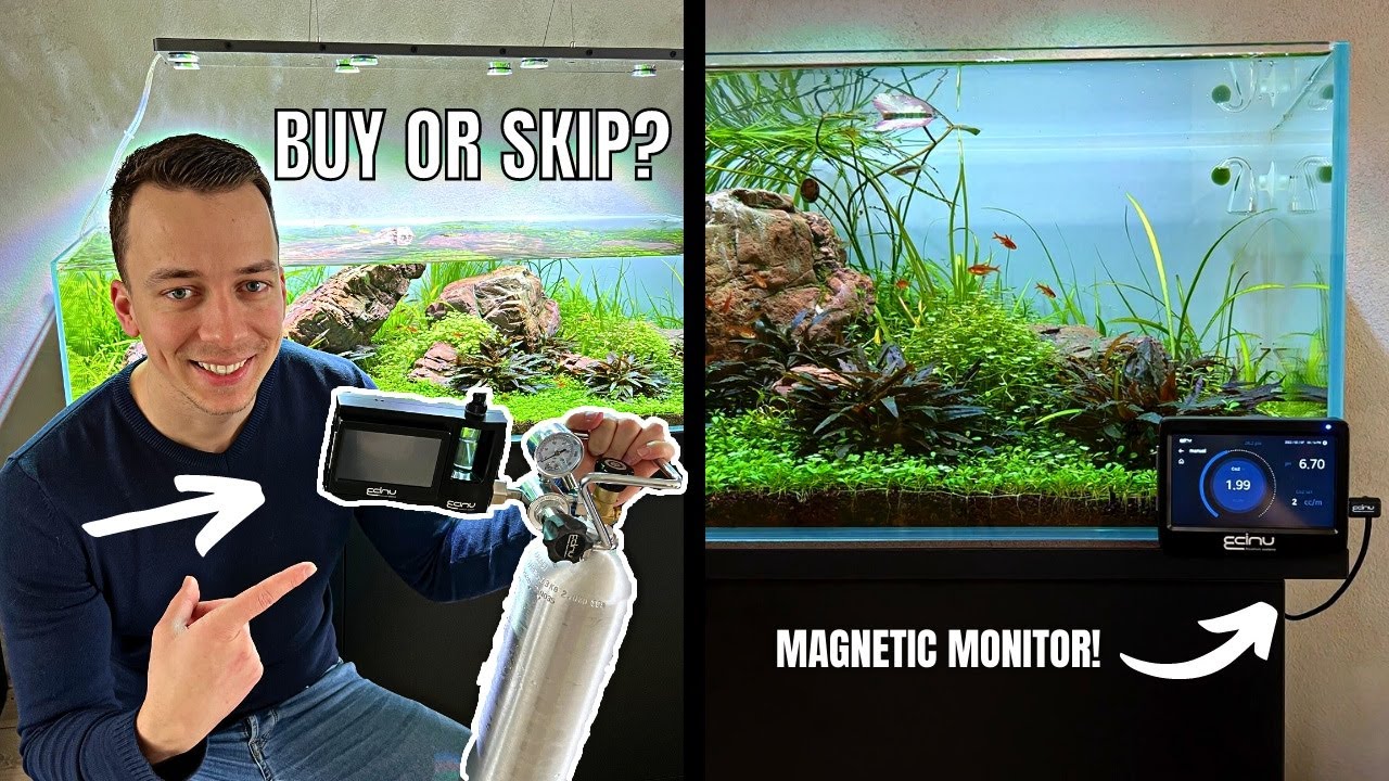 IS THIS THE CO2 SYSTEM OF THE FUTURE? I've Never Seen Anything Like This Before