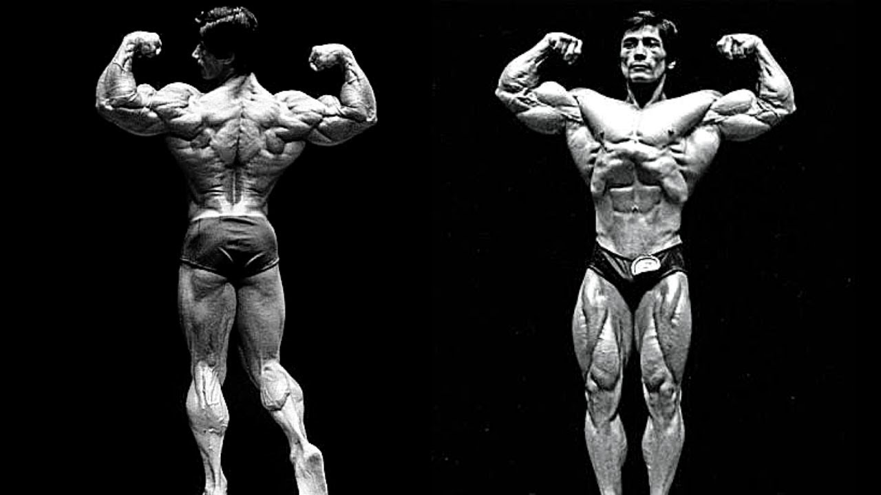POGROMCA GIGANT&Oacute;W | Danny Padilla