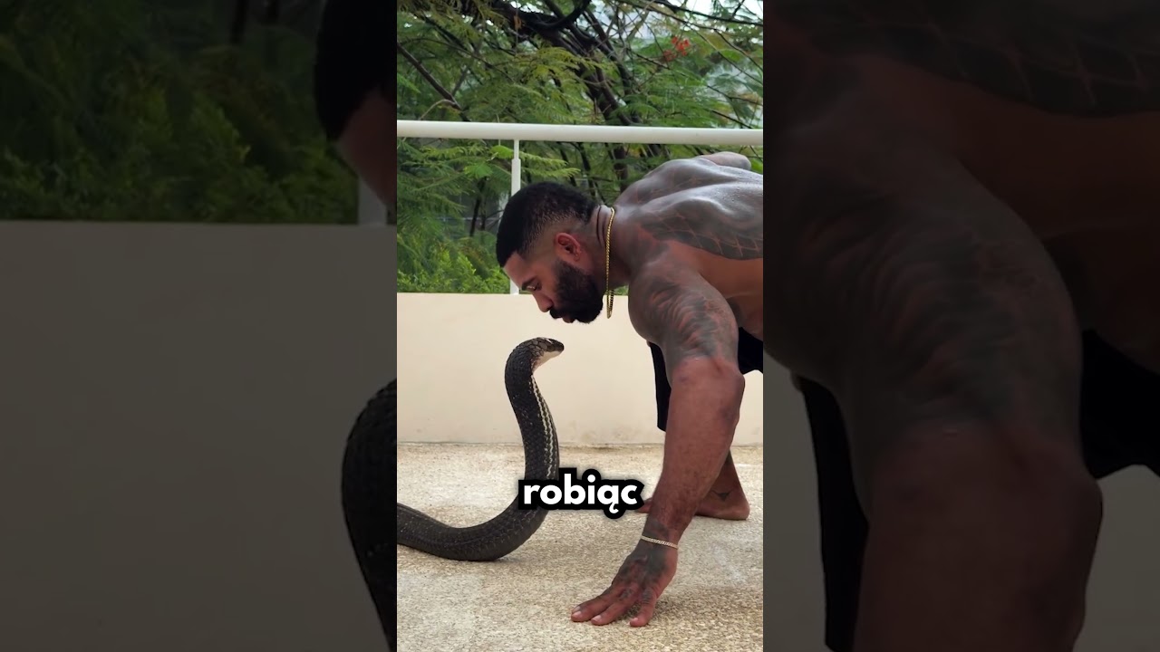 Wychowany Wśr&oacute;d&hellip; KOBR!🐍