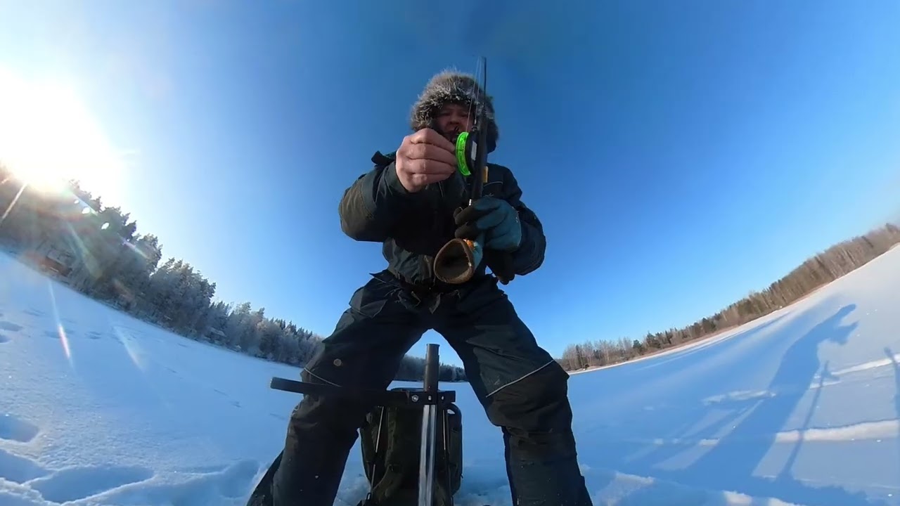 PILKILLÄ -23 C  | MIELETTÖMIÄ KUHIA LIVESSÄ | EI SYÖNNILLÄ EI | GARMIN LIVESCOPE | PARIT AHVENET |