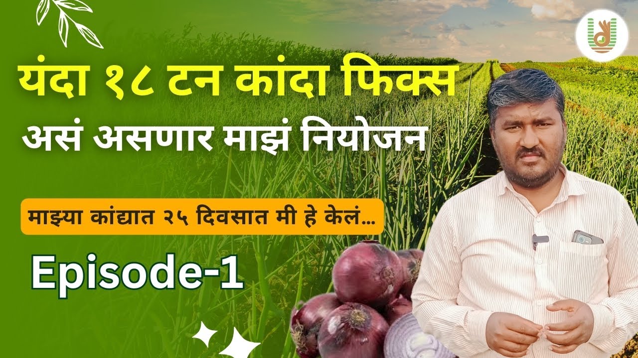 शेतकऱ्याने सांगितली १८ टन कांदा🧅शेतीची गुपीतं💯 | Expert Farmer Shares 18 TON Onion Harvest Secrets