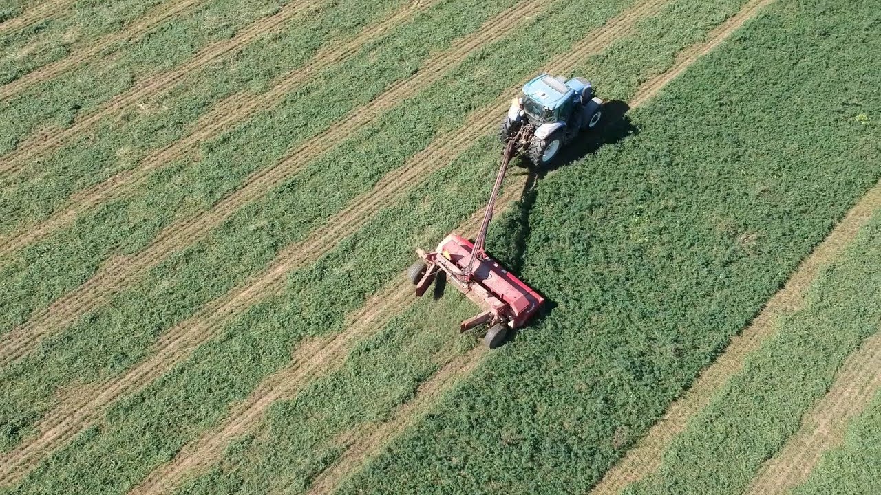 Mowing Hay and Hauling Soybeans