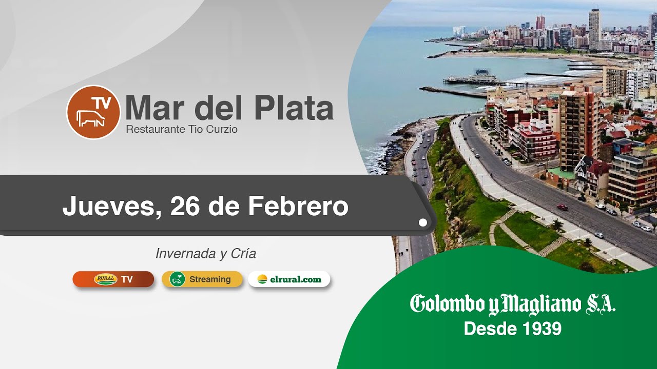 2026.02.26 Remate TV Mar del Plata