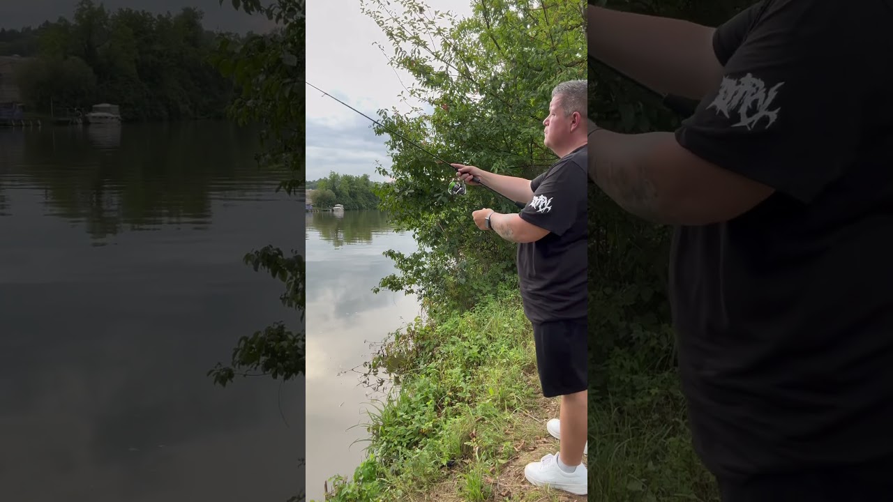 Normaler Tag am Neckar 😂😂 #daiwaprorex #daiwa #neckar #angeln #fishing #spinnfischen
