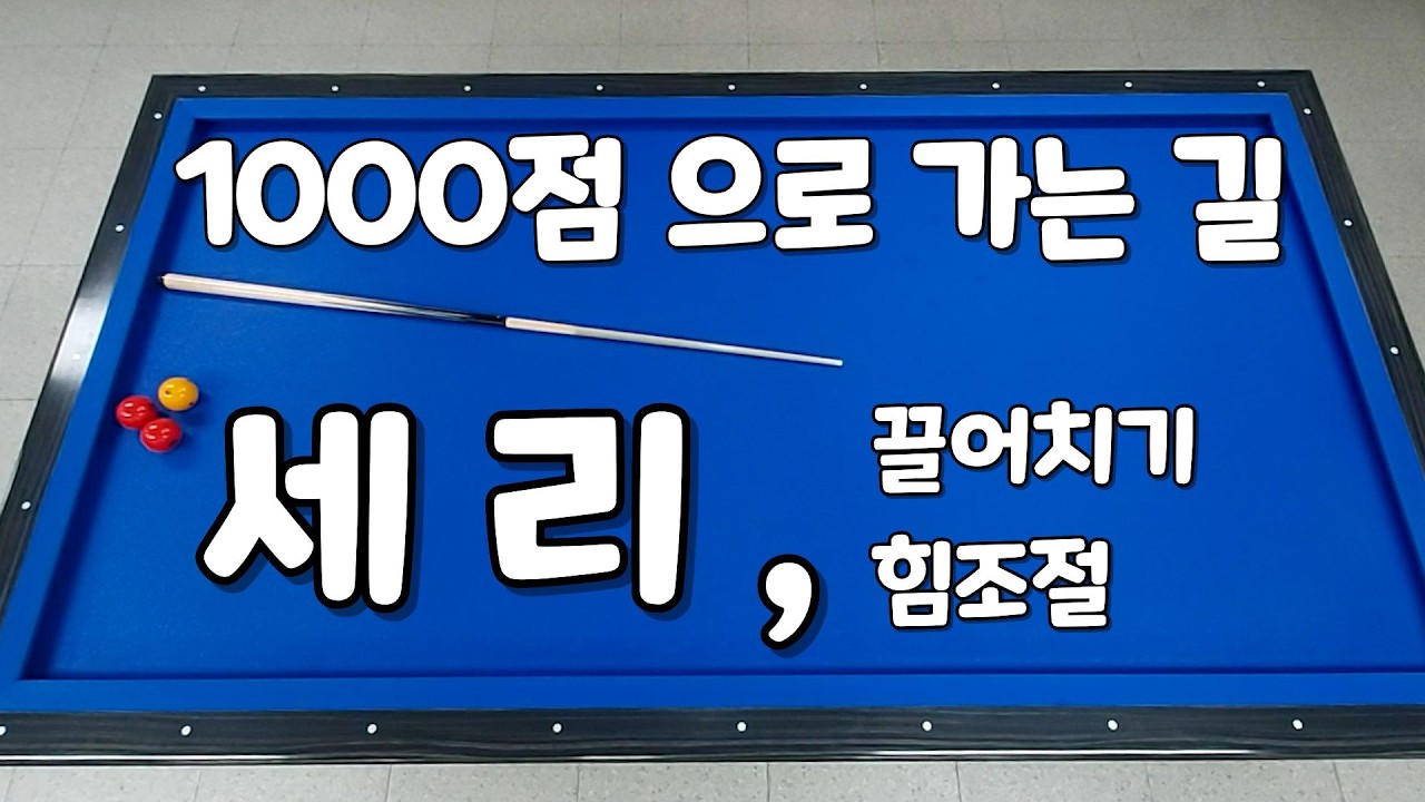 1000점 으로 가는 길 (세리)