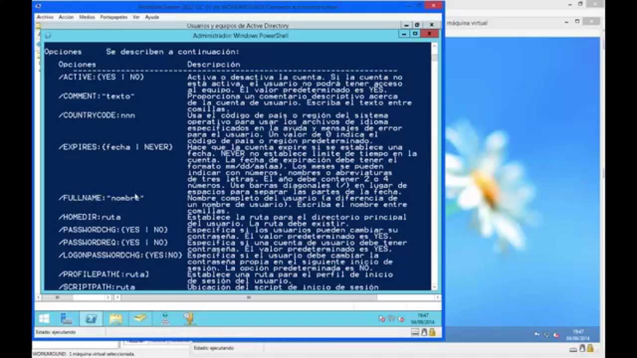 RedesCMD - El comando net user