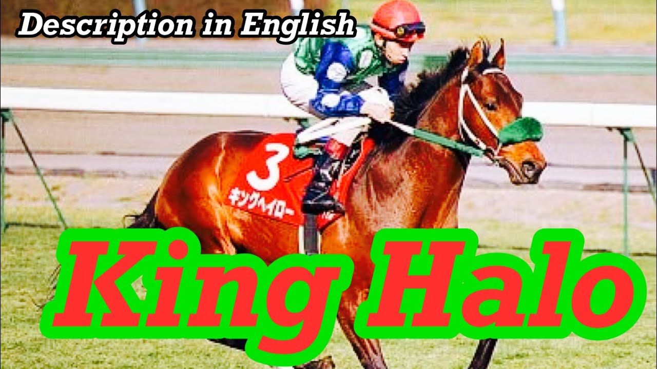 Frustrations and Glories of a world blooded horse - King Halo（キングヘイロー）
