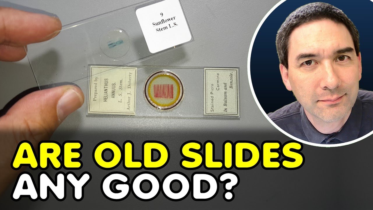 Why a 120-Year-Old Microscope Slide Outperforms a Modern One
