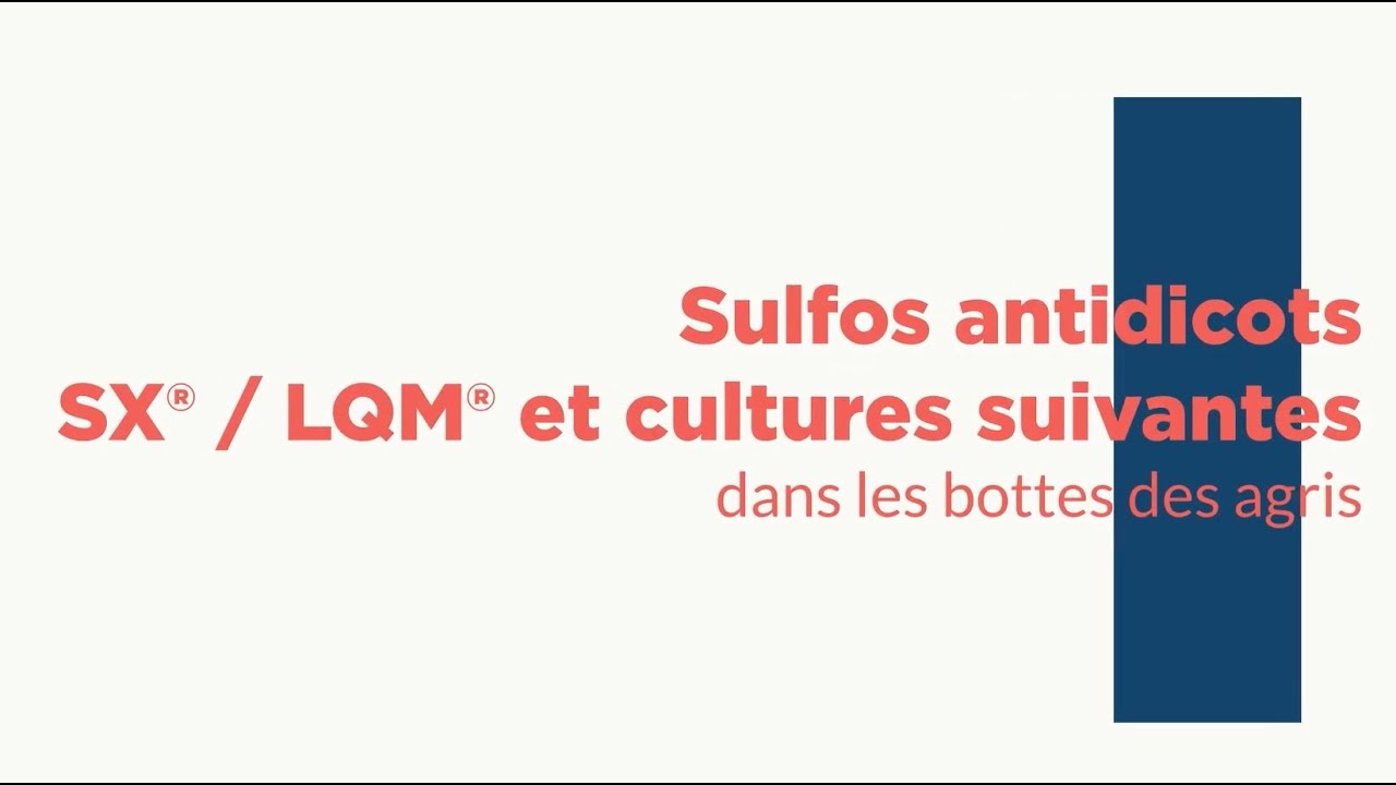 Dans les bottes des agris : Sulfos antidicots SX&reg; / LQM&reg; et cultures suivantes