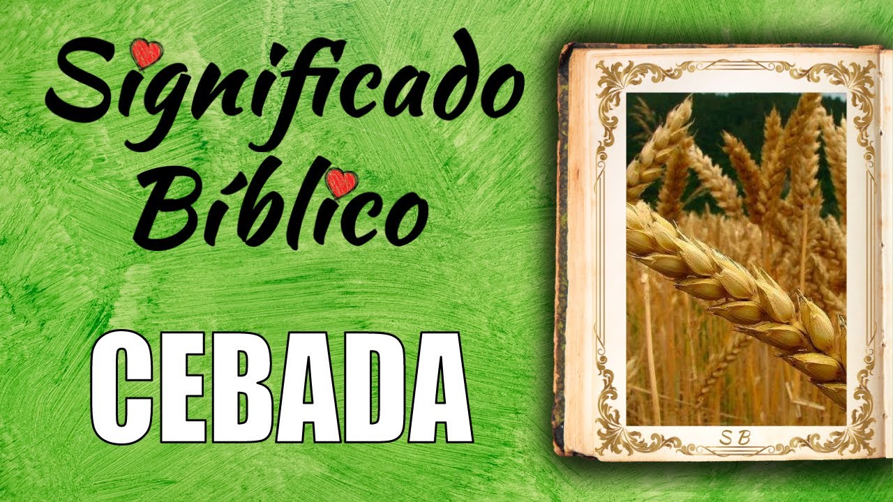 Cebada Significado Bíblico | ¿Qué Significa Cebada en la Biblia? 🙏