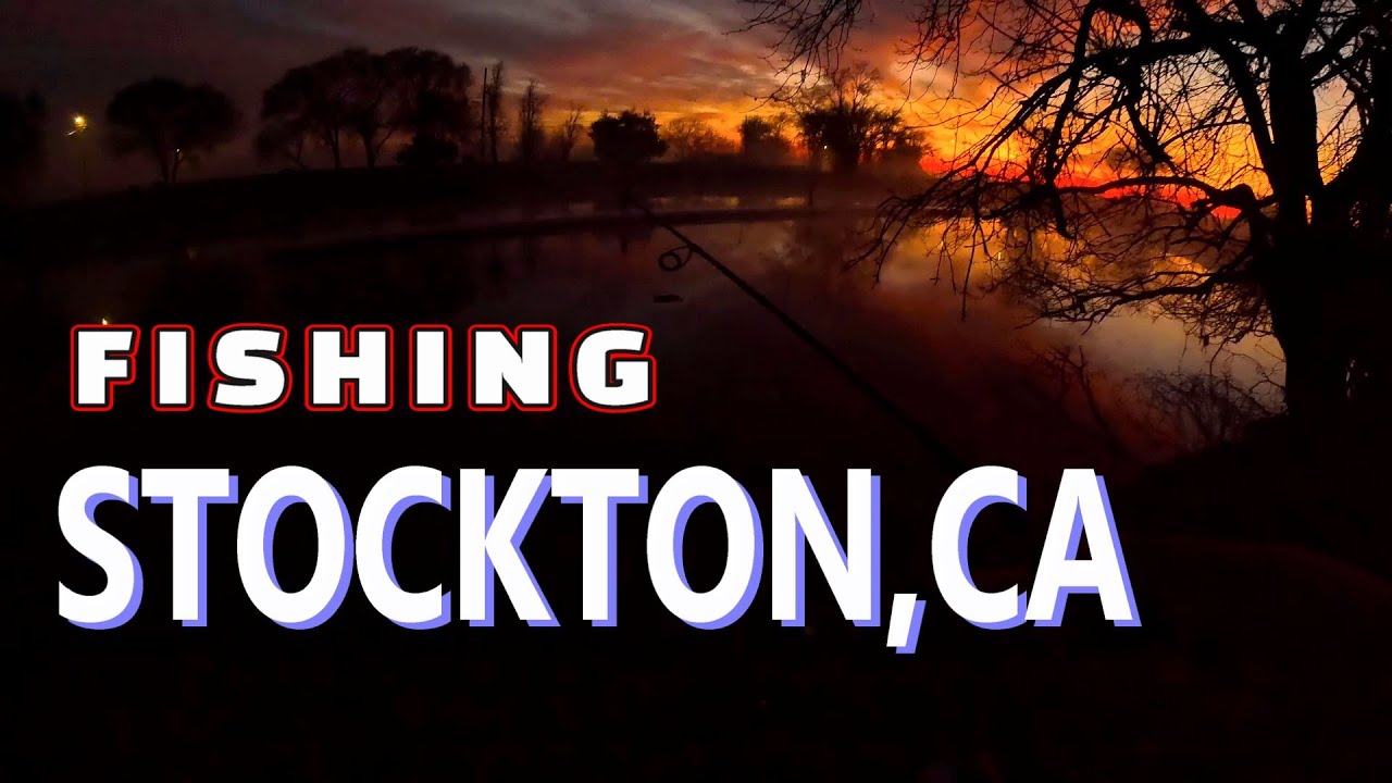 HOT Crappie Fishing Action from the Bank