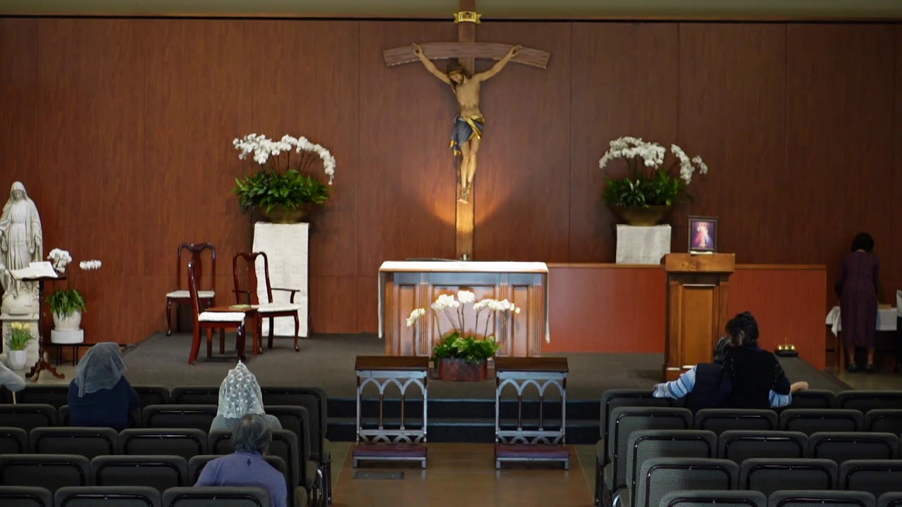 STM Livestream: 8AM Saturday Mass