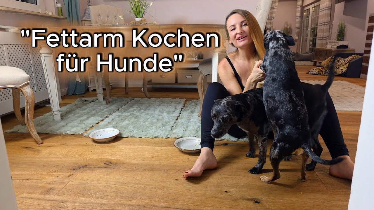 Ich koche für meine Hunde: Fisch mit Brokkoli & Zucchini