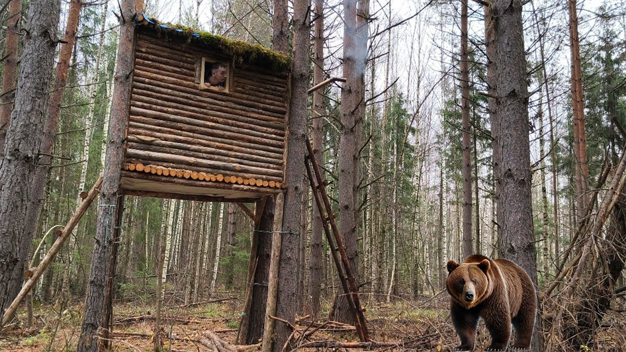 The Bear Attacked My Tree House - Life in the Winter Forest