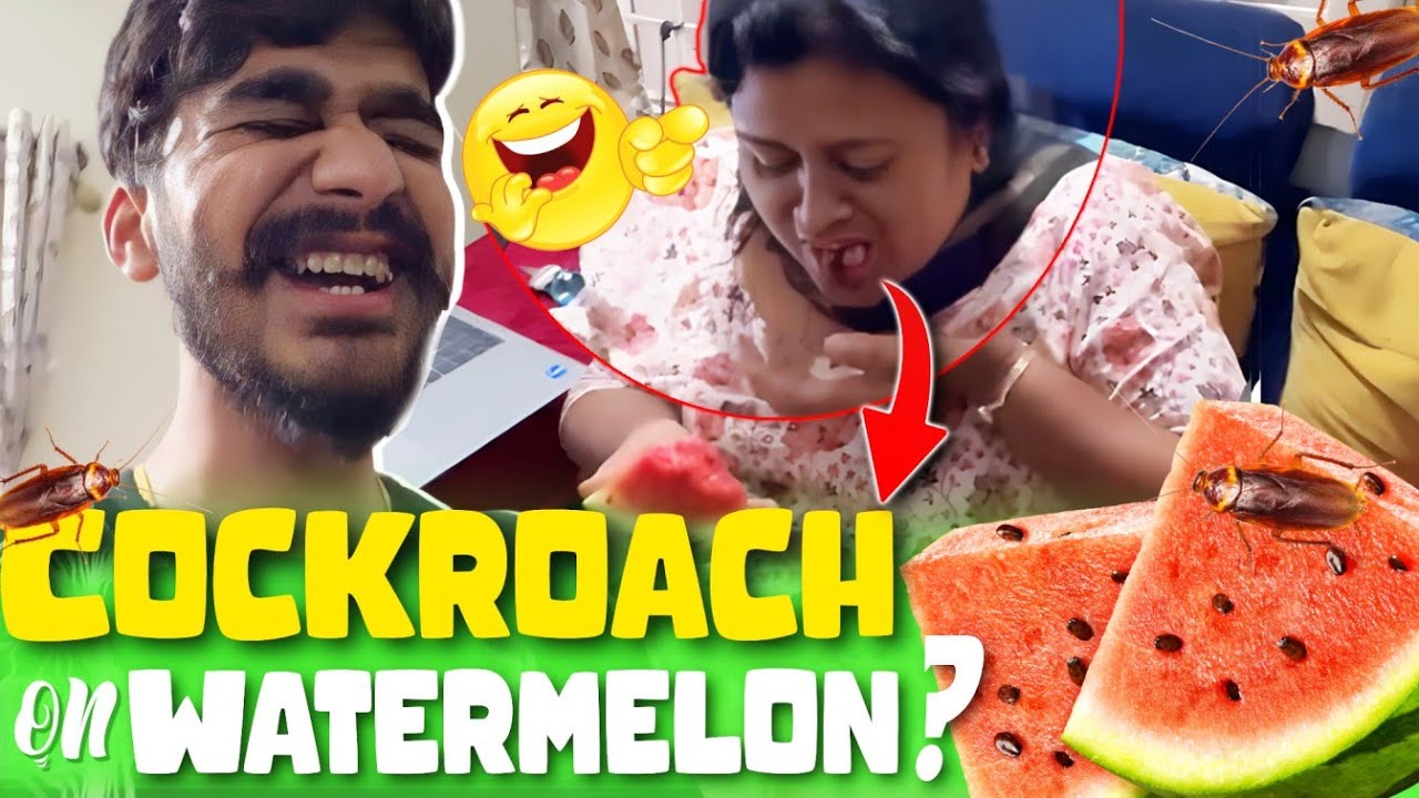 Watermelon Ali Cockroach Prank 😂😂 | Samsameer_insta