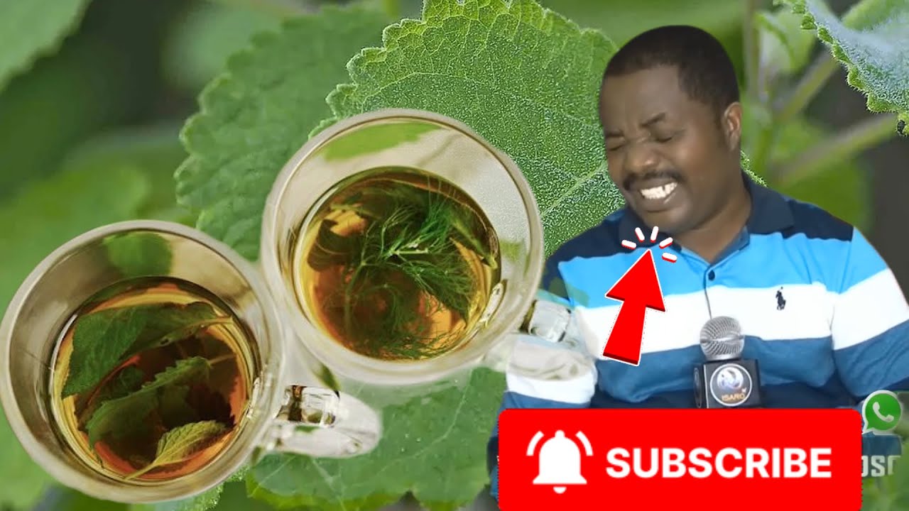 Niwo muti wakoza ubwonko n'umutima bikazakurinda kubihirwa n'ubugome bw' abi Isi