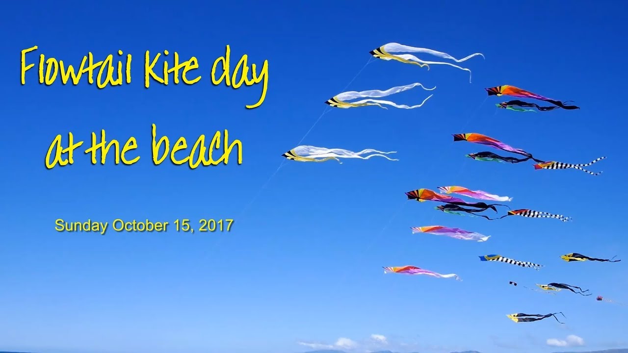 Flowtail kite day at the beach - how many can I fly?