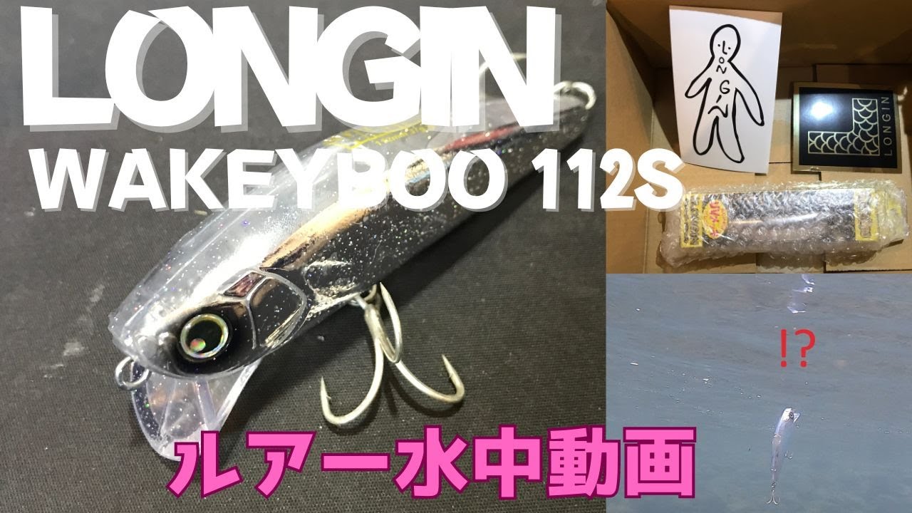 【ウェイキーブー112S】水中映像　「LONGIN WAKEYBOO112S 」　ルアー水中動画【まさかのハプニング】