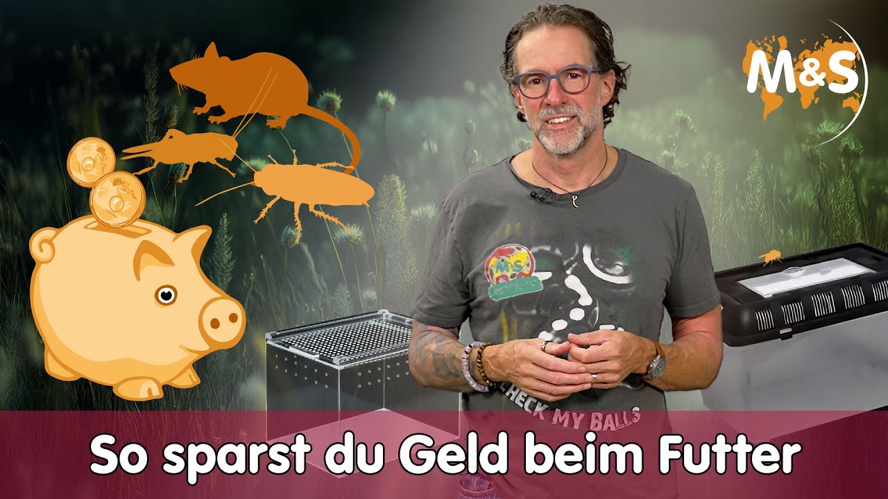 So sparst du Geld beim Futter | Insekten & Nagetiere