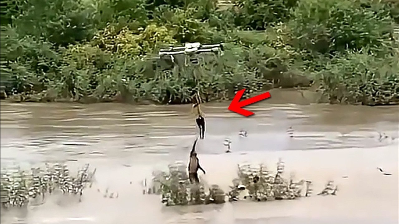 30 Moments Filmed Seconds Before Disaster