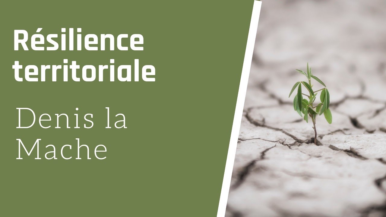 La r&eacute;silience des territoires