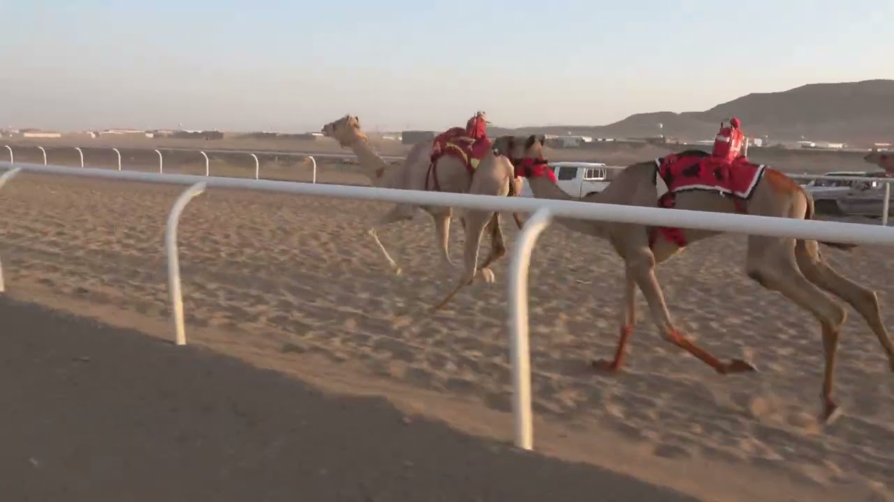 ٤ فزاع لـ سالم عيد الحويطي